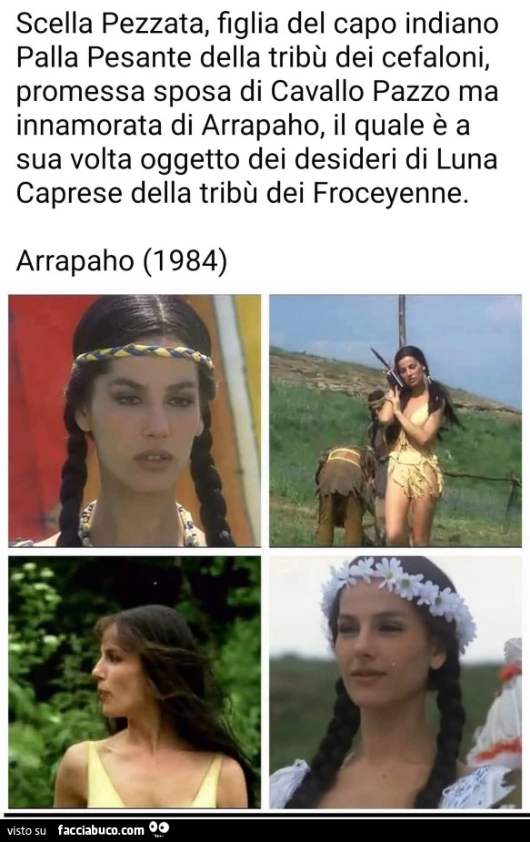 Vaccata