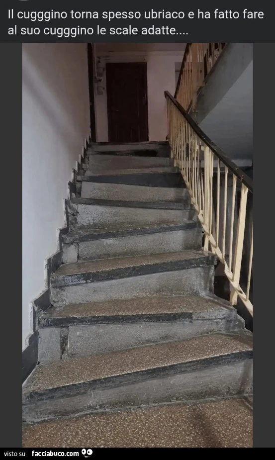 Il cugggino