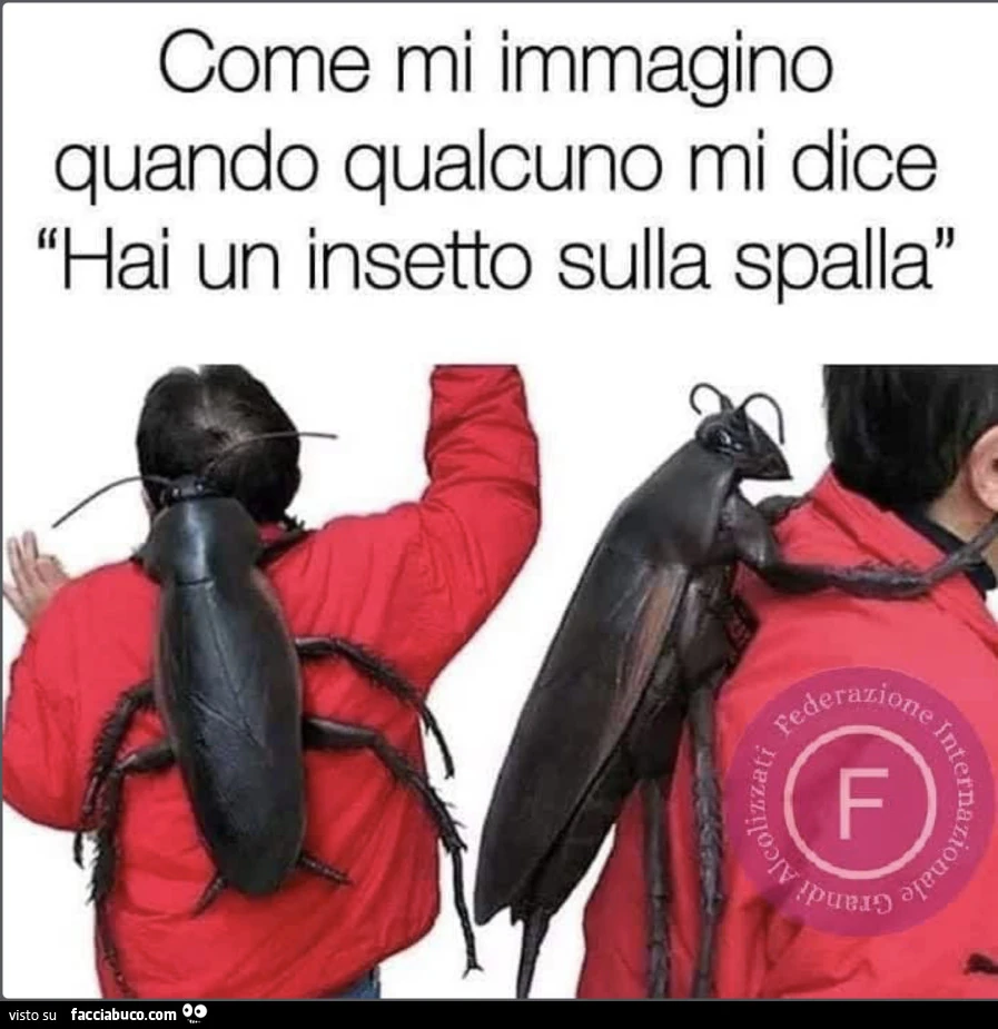 Vaccata