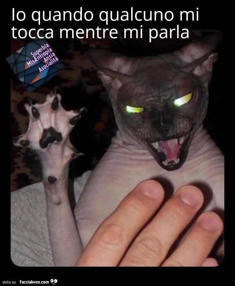 Vaccata