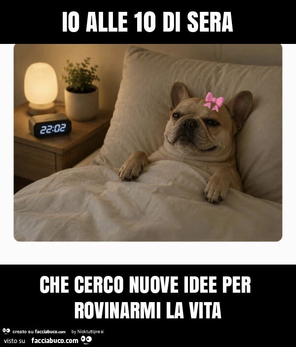 Io alle 10 di sera che cerco nuove idee per rovinarmi la vita