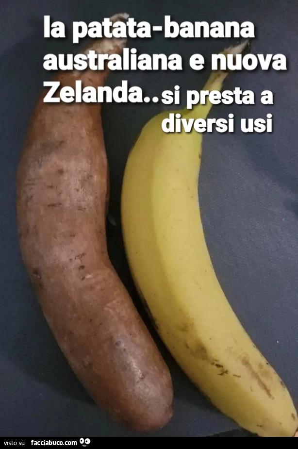 Patata
