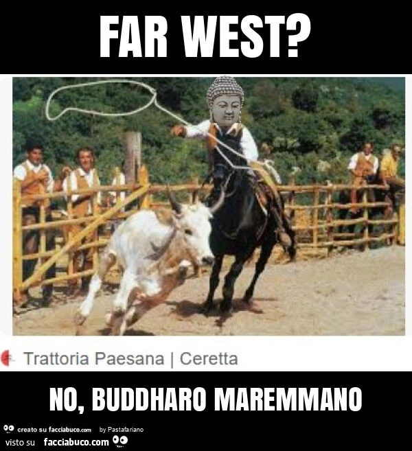Far west? No, buddharo maremmano