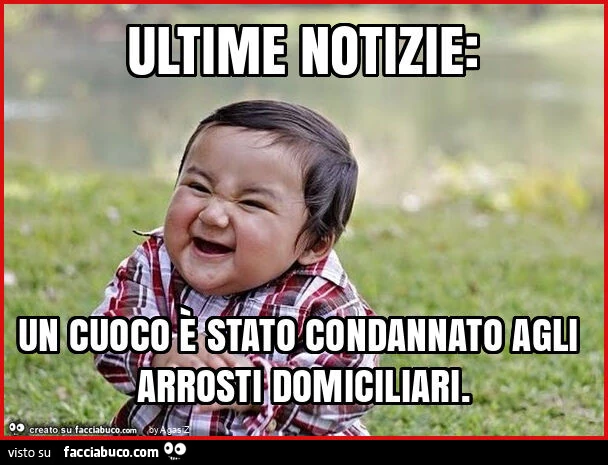 Ultime notizie: un cuoco è stato condannato agli arrosti domiciliari