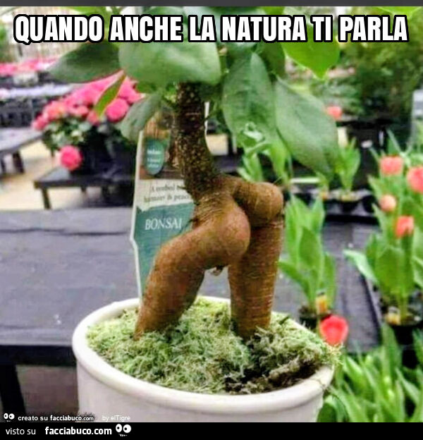 Quando anche la natura ti parla