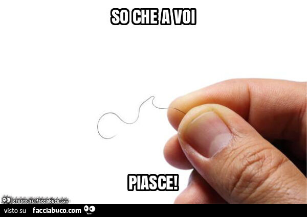 So che a voi piasce
