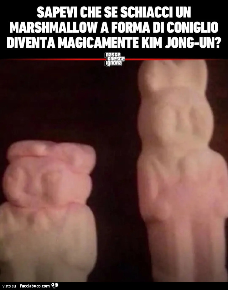 SAPEVI CHE SESCHIACCI UN MARSHMALLOW A FORMA DI CONIGLIO DIVENTA MAGICAMENTE KIM JONG-UN