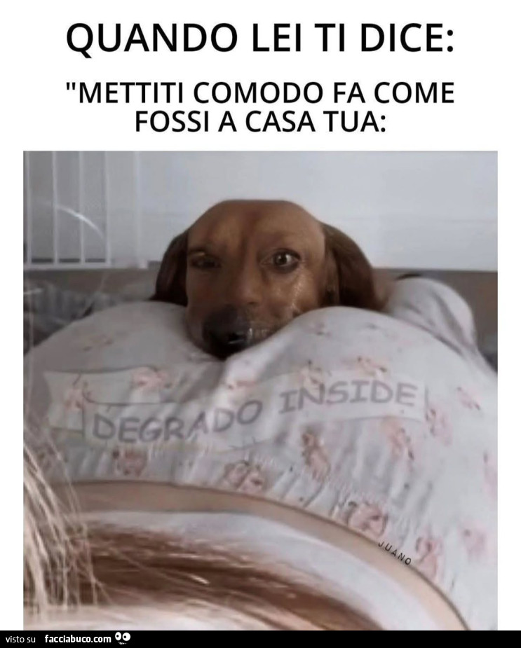Vaccata