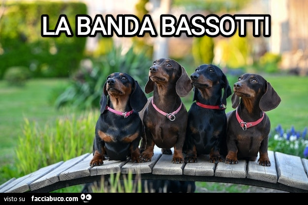 La banda bassotti