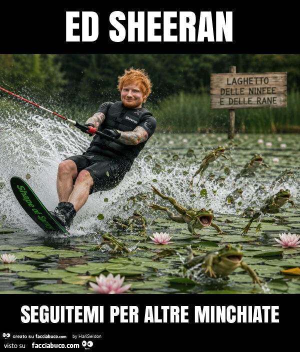 Ed sheeran seguitemi per altre minchiate