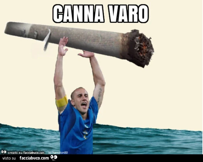 Vaccata