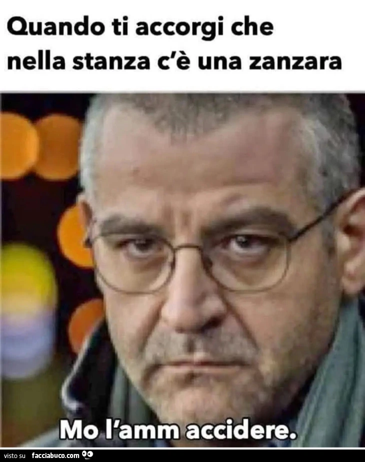 Quando ti accorgi che nella stanza c'è una zanzara Mo l'amm accidere