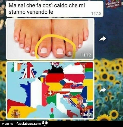 Vaccata
