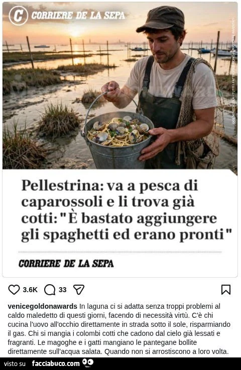Vaccata