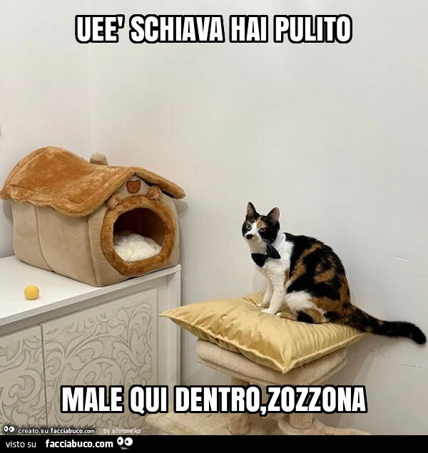 Ueè schiava hai pulito male qui dentro, zozzona