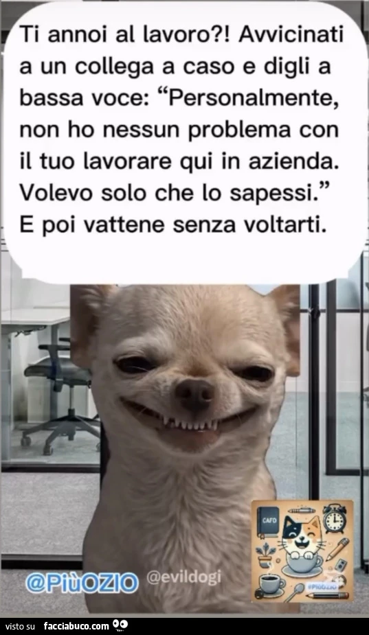 Vaccata