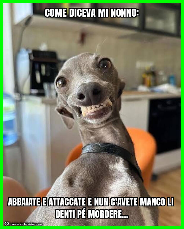 Come diceva mi nonno: abbaiate e attaccate e nun c'avete manco li denti pé mordere
