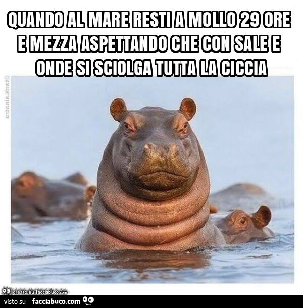 Quando al mare resti a mollo 29 ore e mezza aspettando che con sale e onde si sciolga tutta la ciccia
