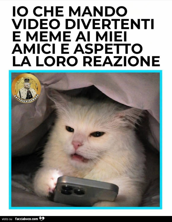 Vaccata