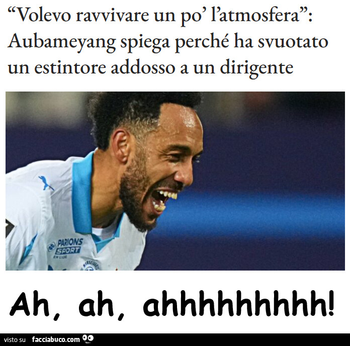 Vaccata