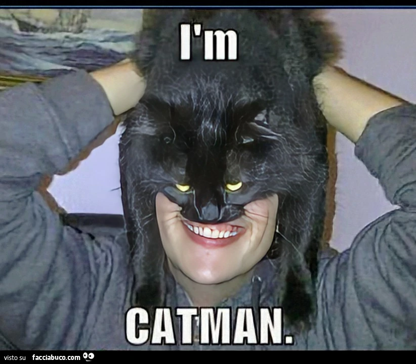 Catman