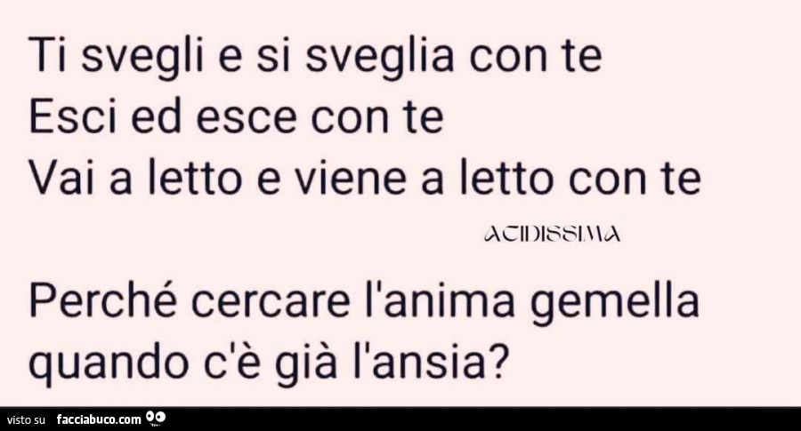 Ti svegli e si sveglia con te esci ed esce con te vai a letto e viene a letto con te perché cercare l'anima gemella quando c'è già l'ansia?