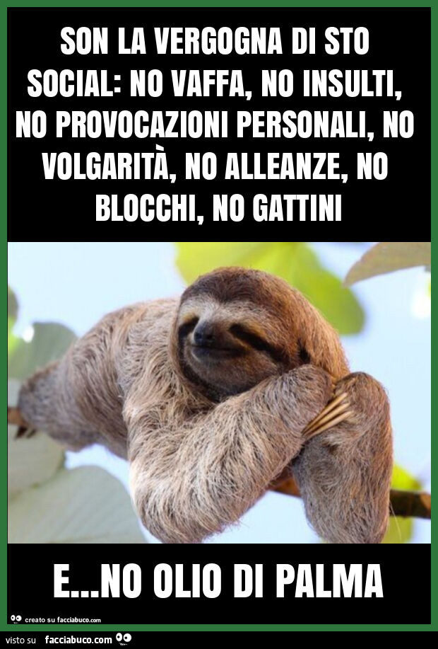 Son la vergogna di sto social: no vaffa, no insulti, no provocazioni personali, no volgarità, no alleanze, no blocchi, no gattini e&hellip; no olio di palma