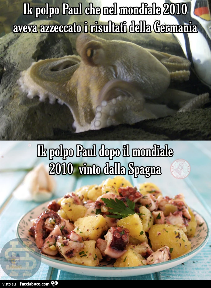 Vaccata