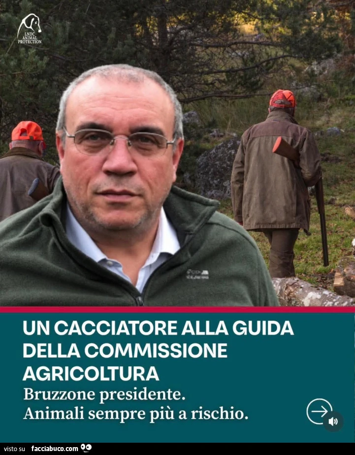 Vaccata