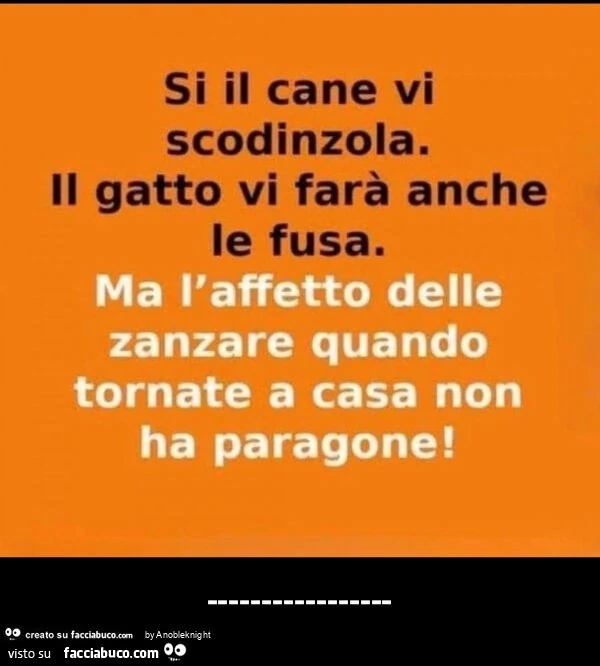 Si il cane vi scodinzola. Il gatto vi farà anche le fusa. Ma l'affetto delle zanzare quando tornate a casa non ha paragone