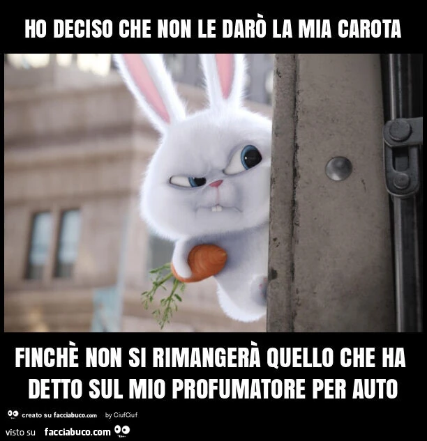 Ho deciso che non le darรฒ la mia carota finchรจ non si rimangerร quello che ha detto sul mio profumatore per auto