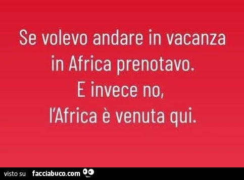 Se volevo andare in vacanza in africa prenotavo. E invece no, l'africa è venuta qui