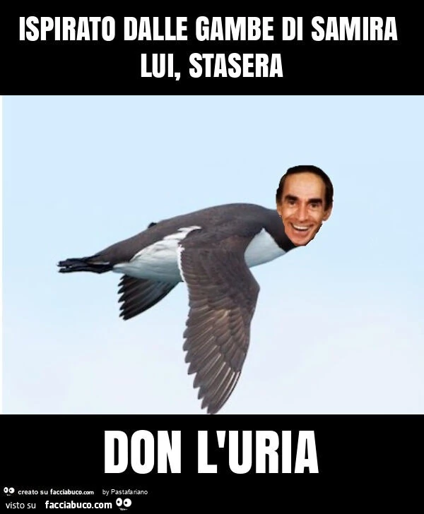Ispirato dalle gambe di samira lui, stasera don l'uria