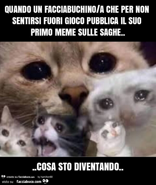 Quando un facciabuchino/a che per non sentirsi fuori gioco pubblica il suo primo meme sulle saghe&hellip; cosa sto diventando