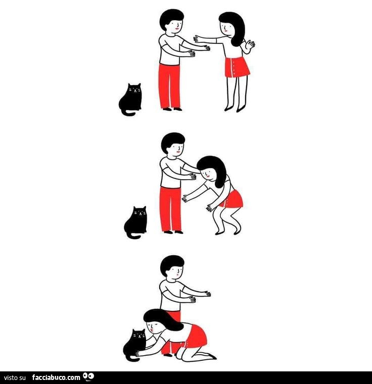 Abbraccia il gatto