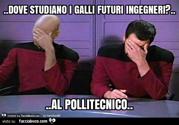 Dove studiano i galli futuri ingegneri? … al pollitecnico