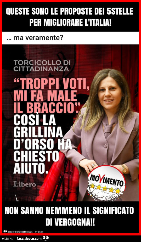 Queste sono le proposte dei 5stelle per migliorare l'italia! Non sanno nemmeno il significato di vergogna