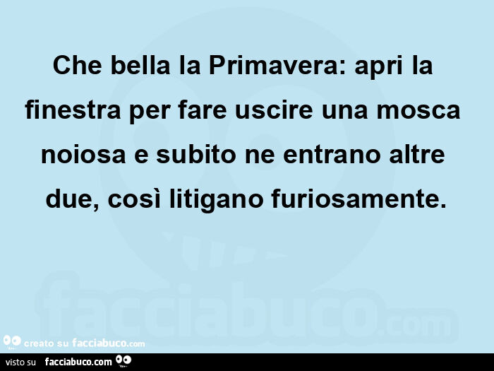Che bella la primavera: apri la finestra per fare uscire una mosca noiosa e subito ne entrano altre due, così litigano furiosamente
