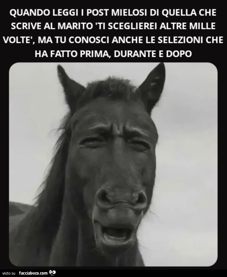 Quando leggi i post mielosi di quella che scrive al marito 'Ti sceglierei altre mille voltรจ, ma tu conosci anche le selezioni che ha fatto prima, durante e dopo