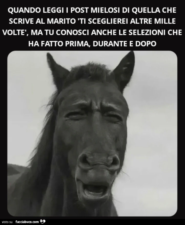 Quando leggi i post mielosi di quella che scrive al marito 'Ti sceglierei altre mille voltè, ma tu conosci anche le selezioni che ha fatto prima, durante e dopo
