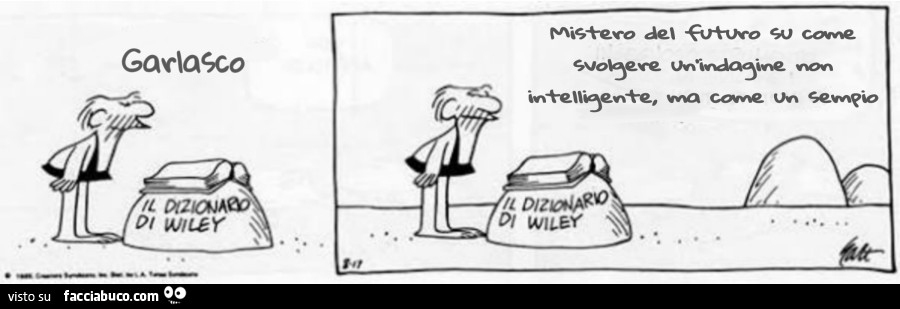 Garlasco il dizionario di wiley