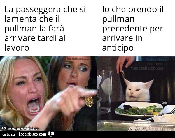 La passeggera che si lamenta che il pullman la farà arrivare tardi al lavoro. Io che prendo il pullman precedente per arrivare in anticipo