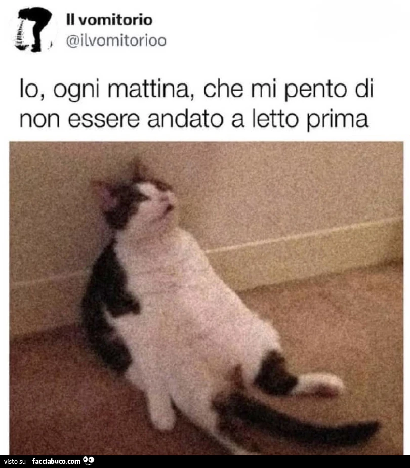Vaccata