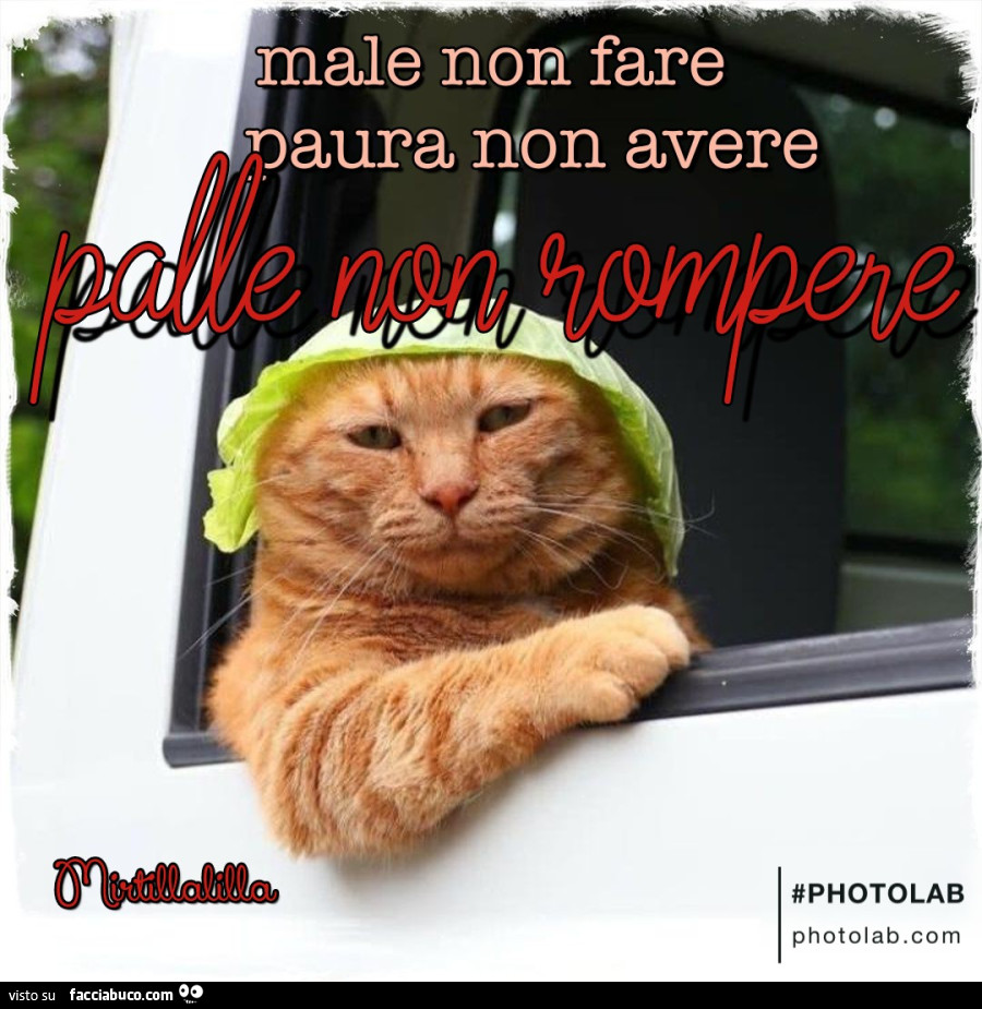 Palle non rompere