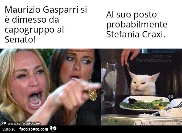 Maurizio gasparri si è dimesso da capogruppo al senato! . Al suo posto probabilmente stefania craxi