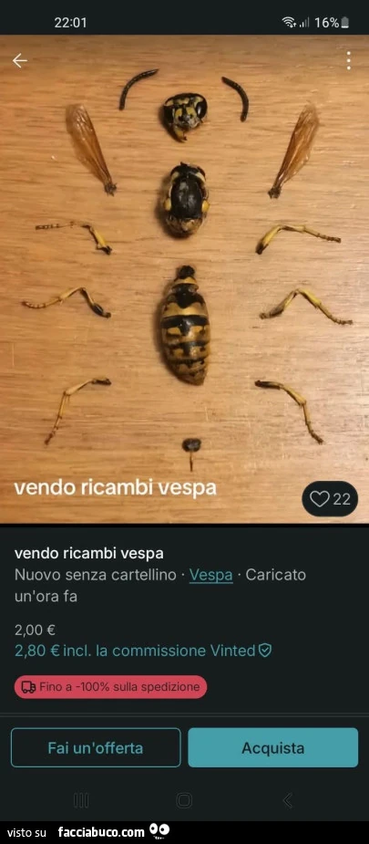 Vaccata
