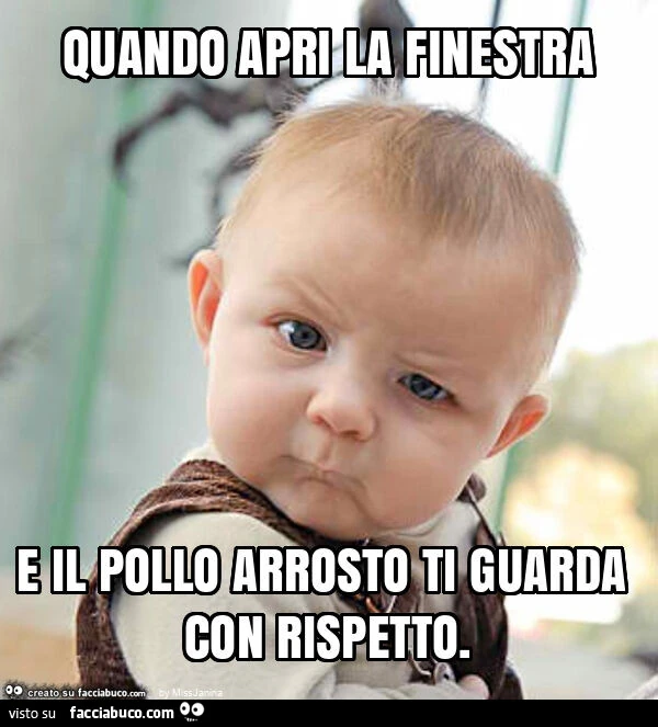 Quando apri la finestra e il pollo arrosto ti guarda con rispetto