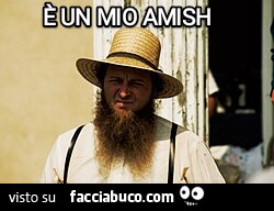 È un mio amish