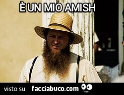ร un mio amish