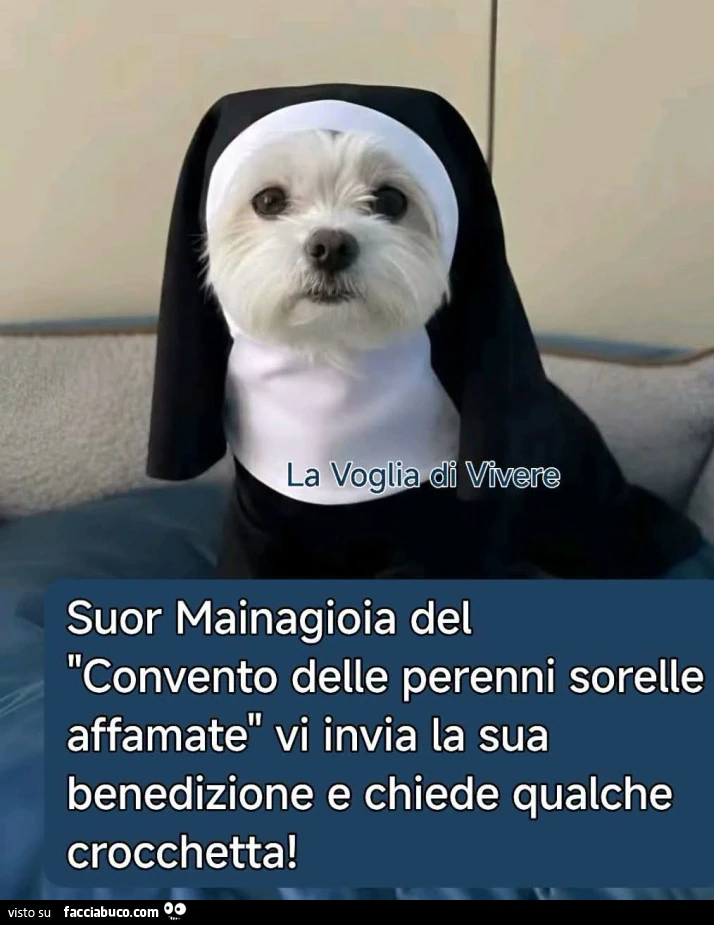 Vaccata